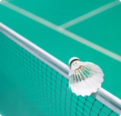 Badminton court