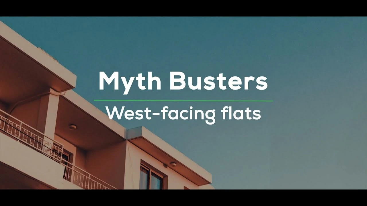 1. Mythbuster
